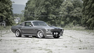Gt500 Fastback Shelby Iphone Wallpaper