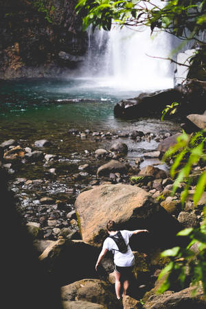 Guadeloupe Waterfalls Tourist Spot Wallpaper