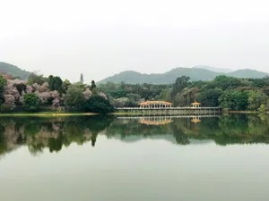 Guangzhou Luhu Lake Wallpaper