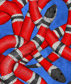 Gucci King Snake Den Wallpaper