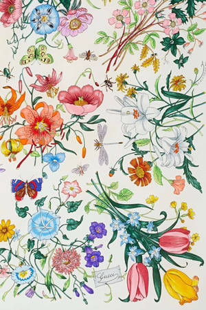 Gucci Pattern Flora Design Wallpaper