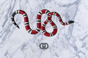 Gucci Snake On Marble Wallpaper