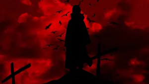 Guided By The Stars Wallpaper