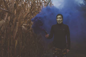 Hacker Mask In The Tall Grass Wallpaper