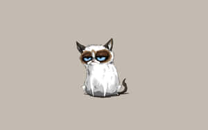 Haggard Grumpy Cat Wallpaper