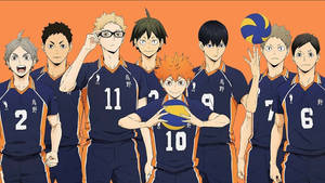 Haikyuu Karasuno High Players Wallpaper