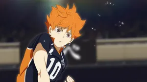 Haikyuu Player Shoyo Wallpaper