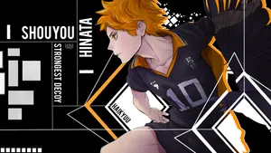 Haikyuu Strongest Decoy Wallpaper