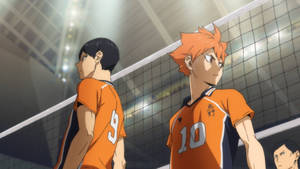 Haikyuu Volleyball Duo Wallpaper