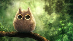 Hairy Cute Owl Wallpaper