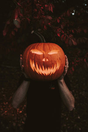 Halloween Grunge Pumpkin Head Glow Wallpaper