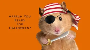Halloween Hamster Meme Wallpaper