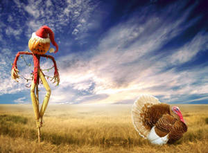 Halloween, Holiday, Scarecrow, Sky, Turkey Wallpaper