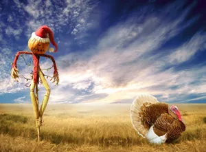 Halloween, Holiday, Scarecrow, Sky, Turkey Wallpaper