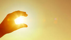 Hand Sunlight Heat Wallpaper