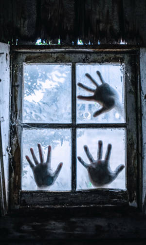 Hands On Window Wallpaper