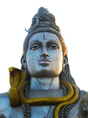 Handsome Lord Shiva 8k Wallpaper
