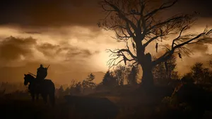 Hanged Man's Tree The Witcher 3 Wallpaper