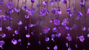 Hanging Purple Flowers Digital Artwork Wallpaper