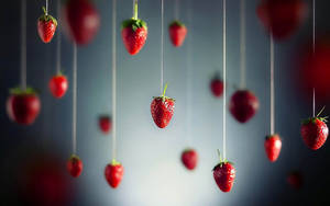 Hanging Strawberries Best Ever Desktop Wallpaper