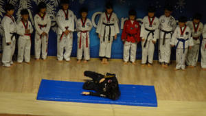 Hapkido Kids Class Demonstration Wallpaper