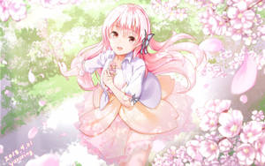 Happy Girl Sakura Bunga Wallpaper