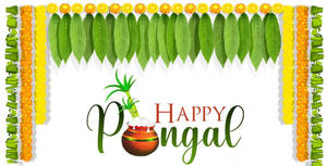 Happy Pongal Palm Leaves Wallpaper
