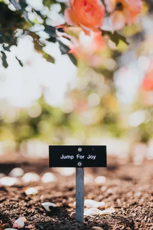 Happy Quote Sign Wallpaper