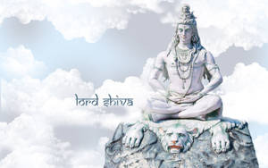 Har Har Mahadev White Shiva Wallpaper
