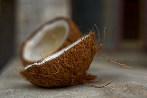 Hard Coconut Shell Wallpaper