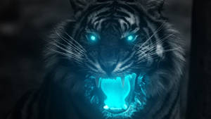 Harimau With Glowing Blue Eyes Wallpaper
