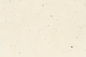 Harmonious Beige Tranquility Wallpaper