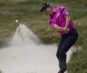 Harrison Fazar Purple Wallpaper