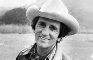 Harry Dean Stanton Smiling Cowboy Photography Wallpaper