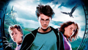 Harry Potter 2 Ron Weasley Wallpaper
