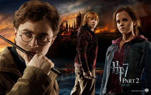 Harry Potter 7 Ron Weasley Wallpaper
