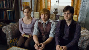 Harry Potter Landscape Ron Hermione Couch Wallpaper