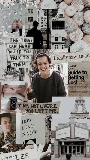 Harry Styles Aesthetic Collage Wallpaper