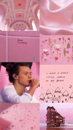 Harry Styles Aesthetic Pink Backdrop Wallpaper
