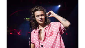 Harry Styles Working From Home With His Laptop Wallpaper