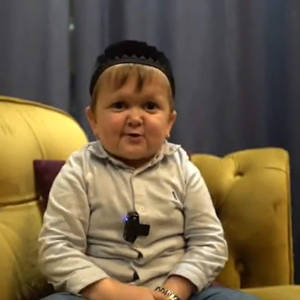 Hasbulla Sitting On Sofa Wallpaper