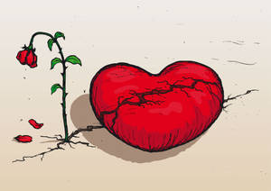 Hate Love Broken Heart Wilted Rose Wallpaper