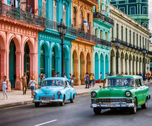 Havana Blue Green Yank Tanks Wallpaper