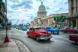 Havana Red Blue Yank Tanks Wallpaper