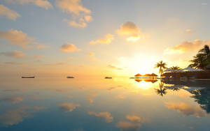 Hawaii Beach Sunrise Wallpaper