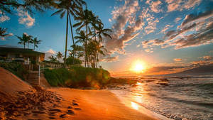 Hawaii Beach Sunset Wallpaper