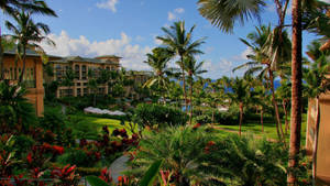 Hawaii Resort Hotel Wallpaper