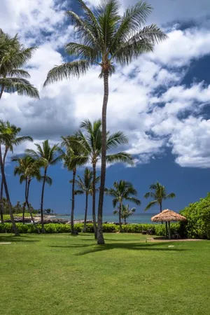 Hawaii Resort Iphone Wallpaper