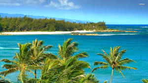 Hawaii Tropical Beach Wallpaper