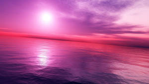 Hazy Pink Sunset Wallpaper